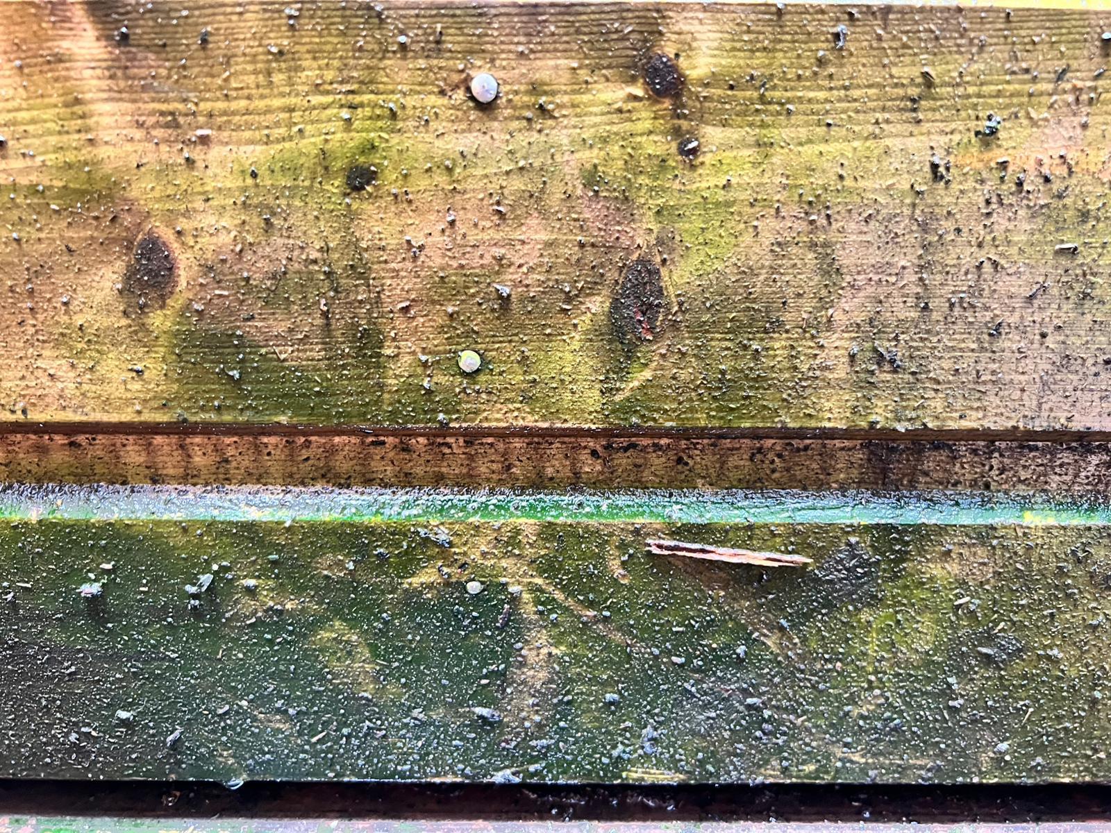 avant terrasse en bois